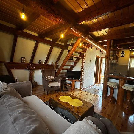 Vila Sarigora Žabljak Esterno foto