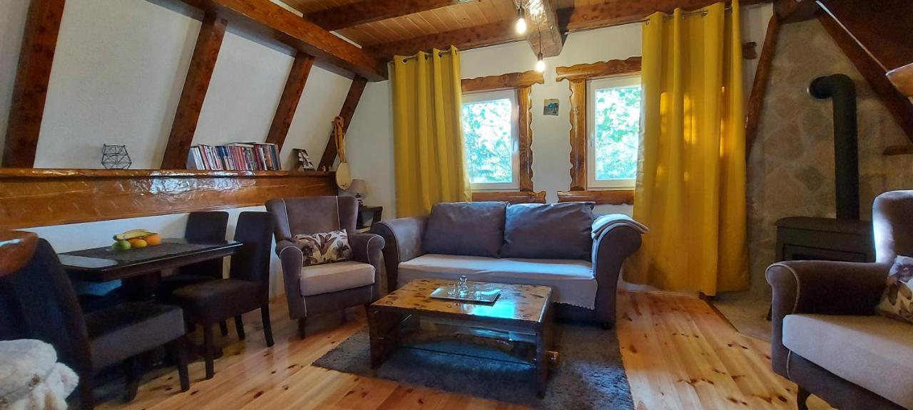 Vila Sarigora Žabljak Esterno foto