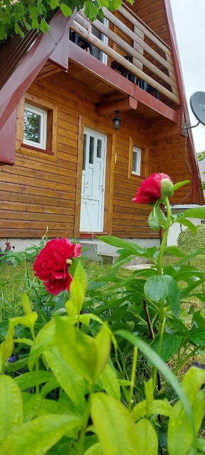Vila Sarigora Žabljak Esterno foto