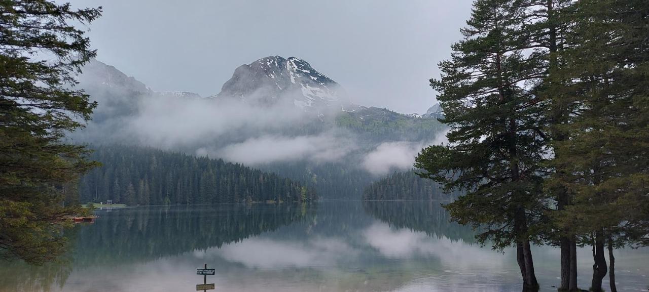 Vila Sarigora Žabljak Esterno foto